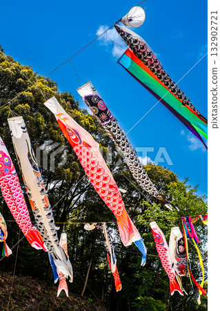 Carp streamers at Nakazato Fureai Park in Higashi-Nagasaki [Nagasaki City, Nagasaki Prefecture] 132902721