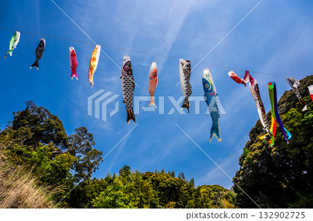 Carp streamers at Nakazato Fureai Park in Higashi-Nagasaki [Nagasaki City, Nagasaki Prefecture] 132902725