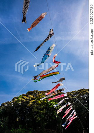 Carp streamers at Nakazato Fureai Park in Higashi-Nagasaki [Nagasaki City, Nagasaki Prefecture] 132902726