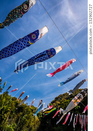 Carp streamers at Nakazato Fureai Park in Higashi-Nagasaki [Nagasaki City, Nagasaki Prefecture] 132902727