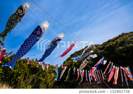 東長崎中里親愛公園的鯉魚旗【長崎縣長崎市】 132902736