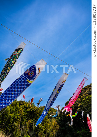 東長崎中里親愛公園的鯉魚旗【長崎縣長崎市】 132902737
