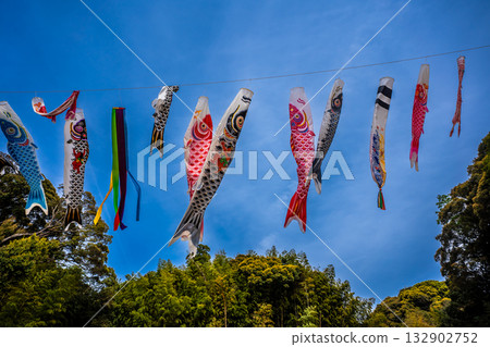 Carp streamers at Nakazato Fureai Park in Higashi-Nagasaki [Nagasaki City, Nagasaki Prefecture] 132902752