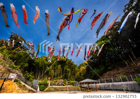 Carp streamers at Nakazato Fureai Park in Higashi-Nagasaki [Nagasaki City, Nagasaki Prefecture] 132902755