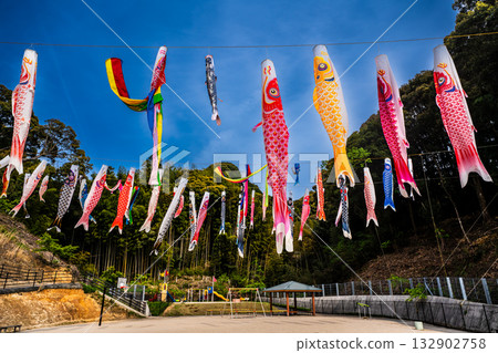 東長崎中里親愛公園的鯉魚旗【長崎縣長崎市】 東長崎中里親愛公園的鯉魚旗【長崎縣長崎市】 132902758