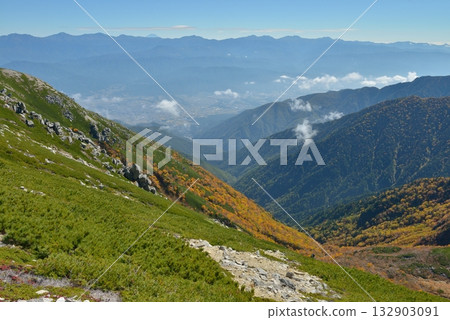 Late Autumn: Autumn leaves in the Central Alps Late Autumn: Autumn leaves in the Central Alps 132903091