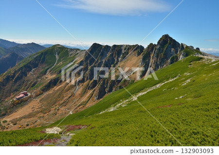 Late Autumn: Autumn leaves in the Central Alps 132903093