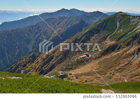 Late Autumn: Autumn leaves in the Central Alps 132903096