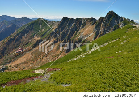Late Autumn: Autumn leaves in the Central Alps 132903097
