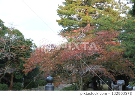 Izumo Taisha 132903578