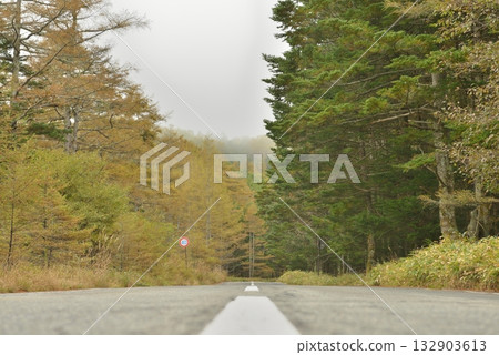 Scenery near Mugikusa Pass on National Route 299 132903613