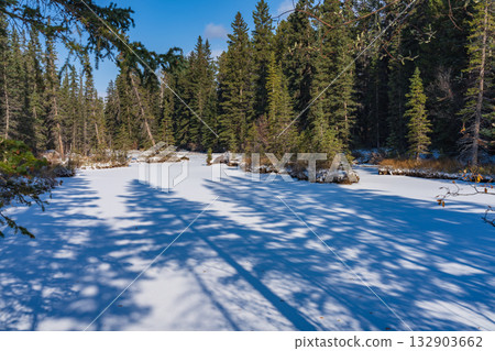 Pine tree shadows falling on a frozen stream in an early winter forest. Canmore, Alberta, Canada Pine tree shadows falling on a frozen stream in an early winter forest. Canmore, Alberta, Canada 132903662