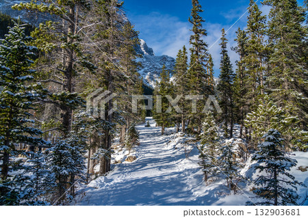 Grassi Lakes Trail in winter. Canmore, Alberta, Canada Grassi Lakes Trail in winter. Canmore, Alberta, Canada 132903681