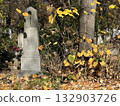 Old tombstone in the public cemetery 132903726
