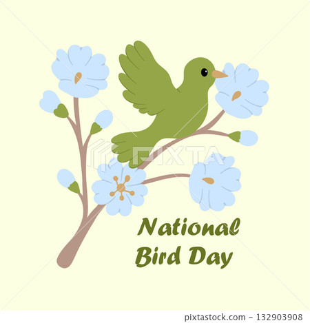 tropical bird flat illustration wildlife art 132903908