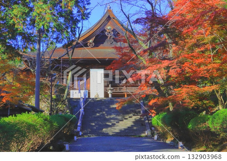 Autumn at Miidera Temple (National Treasure Kondo and approach, Otsu City) Autumn at Miidera Temple (National Treasure Kondo and approach, Otsu City) 132903968