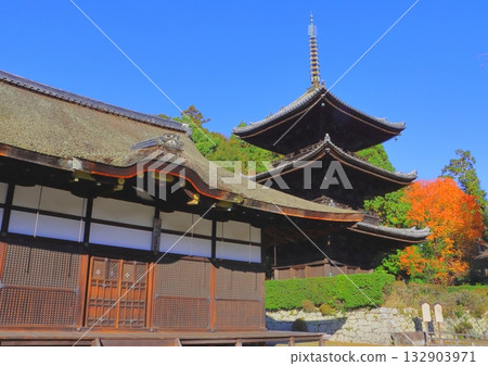 Autumn at Miidera Temple (Toin Kanjodo Hall and Three-story Pagoda, Otsu City) Autumn at Miidera Temple (Toin Kanjodo Hall and Three-story Pagoda, Otsu City) 132903971
