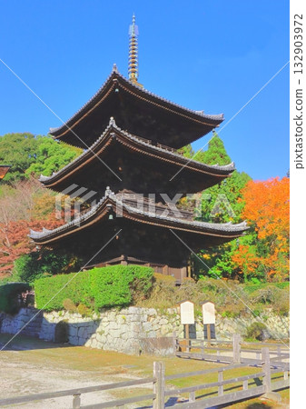 秋天的三井寺（三層寶塔，大津市，垂直構圖） 132903972