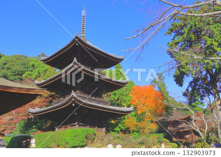 秋天的三井寺（大津市三層塔） 132903973
