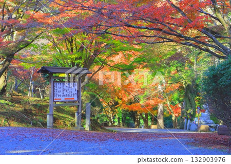 Autumn at Miidera Temple (approach to Otsu City) Autumn at Miidera Temple (approach to Otsu City) 132903976