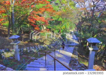 Autumn at Miidera Temple (approach to Otsu City) Autumn at Miidera Temple (approach to Otsu City) 132903993