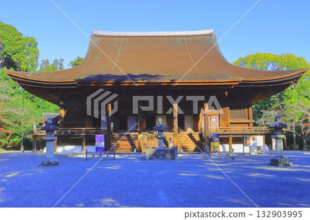 Autumn at Miidera Temple (National Treasure Kondo Hall, Otsu City) 132903995