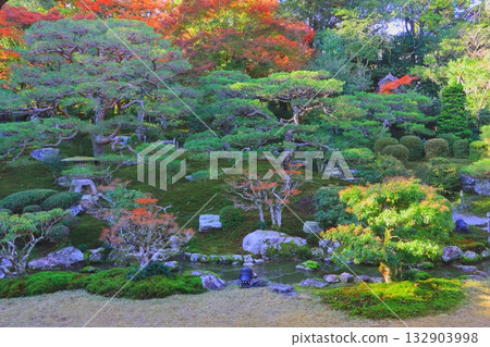 秋天的舊竹林院（大津市名園） 132903998