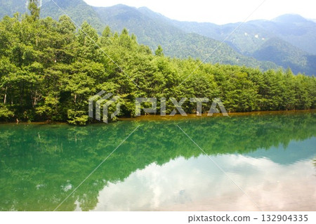 Nature Nature Nature Nature 132904335