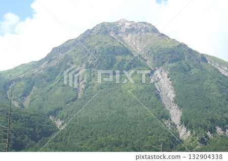 Nature Nature Nature Nature 132904338