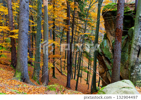 autumn autumn 132904497