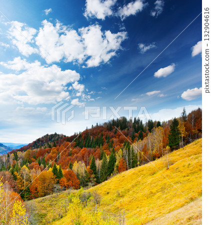 mountain landscape mountain landscape 132904616