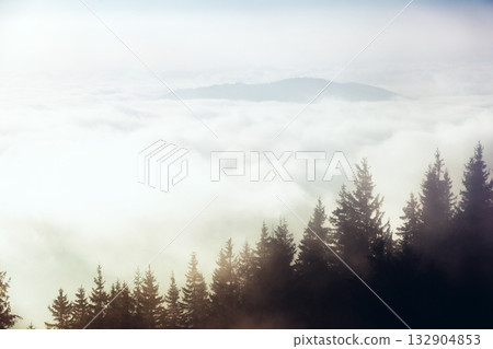 Morning fog covered the hills with spruces. Dramatic and gorgeous scene. Morning fog covered the hills with spruces. Dramatic and gorgeous scene. 132904853