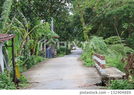 越南一條綠樹成蔭的道路景觀 132904889