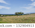 Landscape of grassland, sea and sky on the island of Hawaii 132904913