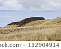 Castle ruins at Pu'ukohola Heiau National Historical Park 132904914