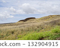 View of the castle ruins and grassland at Pu'ukohola Heiau National Historical Park 132904915