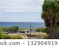Sparkling ocean and tree scenery on the Big Island of Hawaii 132904919