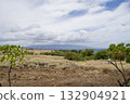Majestic landscape of grassland and clouds on the Big Island of Hawaii 132904921