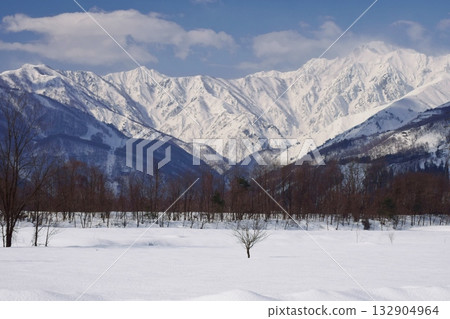 Goryogaki希望來自白馬村 Goryogaki希望來自白馬村 132904964