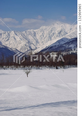 Goryogaki希望來自白馬村 Goryogaki希望來自白馬村 132904965