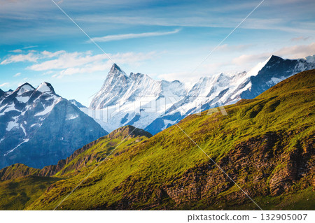 Great view of alpine hill. Location place Swiss alps, Grindelwald valley. 132905007