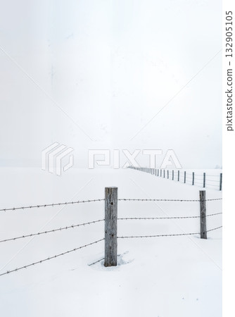 Minimalist Winter Fence Post in Deep Snow with Barbed Wire and Buried Split Rail Fencing Composition 132905105