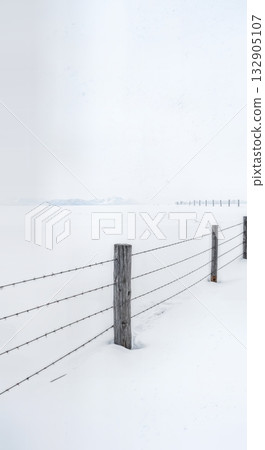Minimalist Winter Fence Post in Deep Snow with Barbed Wire and Buried Split Rail Fencing Composition Minimalist Winter Fence Post in Deep Snow with Barbed Wire and Buried Split Rail Fencing Composition 132905107