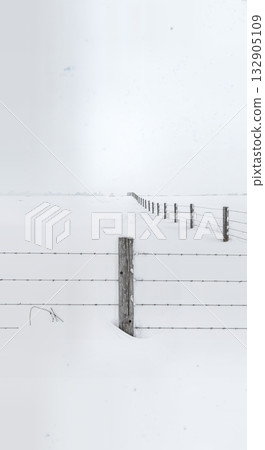 Minimalist Winter Fence Post in Deep Snow with Barbed Wire and Buried Split Rail Fencing Composition Minimalist Winter Fence Post in Deep Snow with Barbed Wire and Buried Split Rail Fencing Composition 132905109