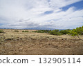 Landscape of grassland and majestic clouds in the sky on the Big Island of Hawaii 132905114