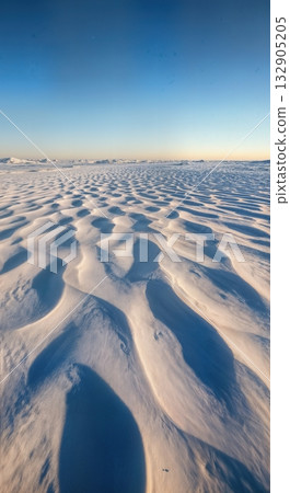 Windswept Snow Formations Sastrugi with Sculptural Ridge Patterns and Strong Side Lighting Creating Dramatic Shadows 132905205