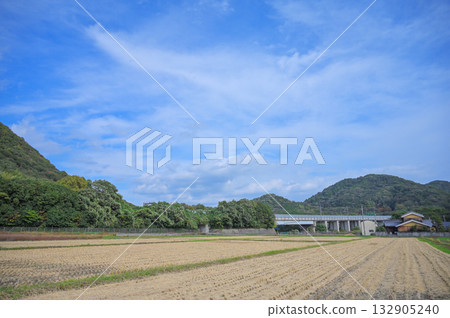 秋日晴空下，稻田和公路在收割後的景色 132905240