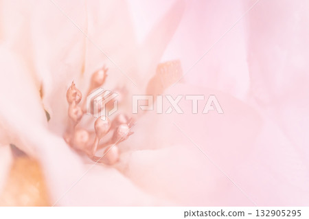 Christmas wreath winter image 132905295