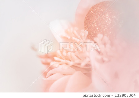 Christmas wreath winter image Christmas wreath winter image 132905304