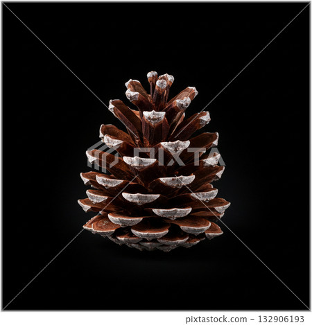 Christmas: Beautiful snow-covered pine cones 132906193